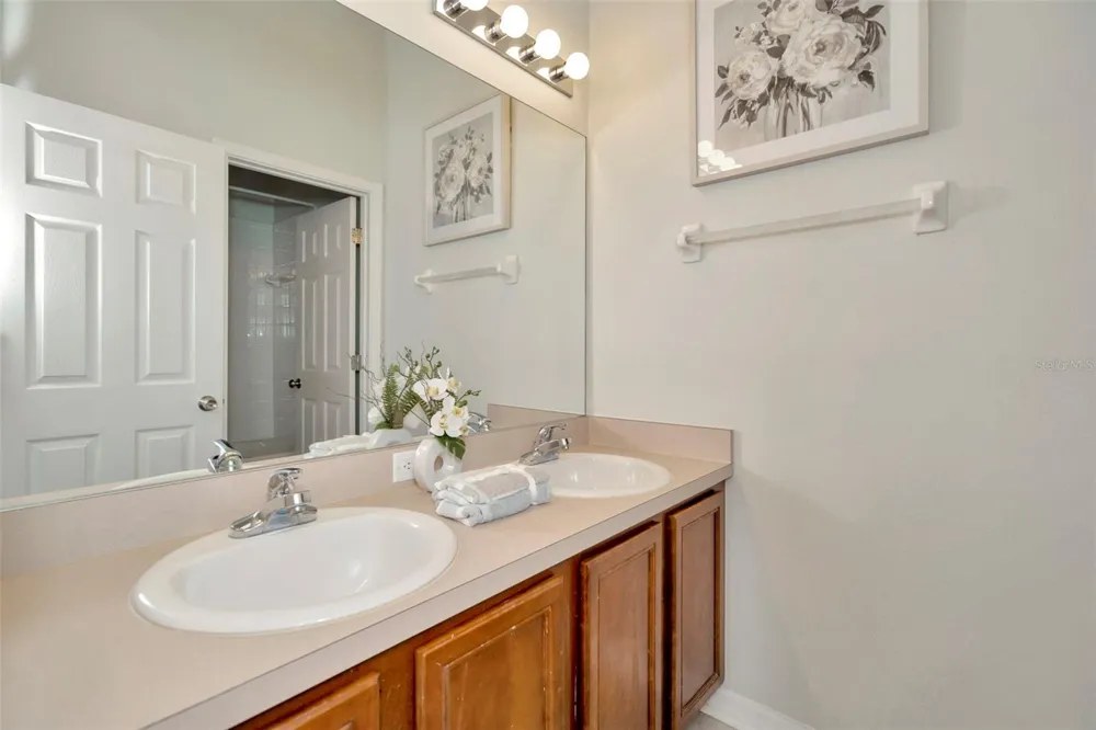 6233 OLIVEDALE DRIVE Riverview, FL 33578