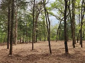 County Road 4710 Lot 465 Larue, TX 75770