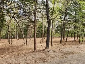 County Road 4710 Lot 465 Larue, TX 75770