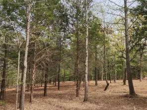 County Road 4710 Lot 465 Larue, TX 75770