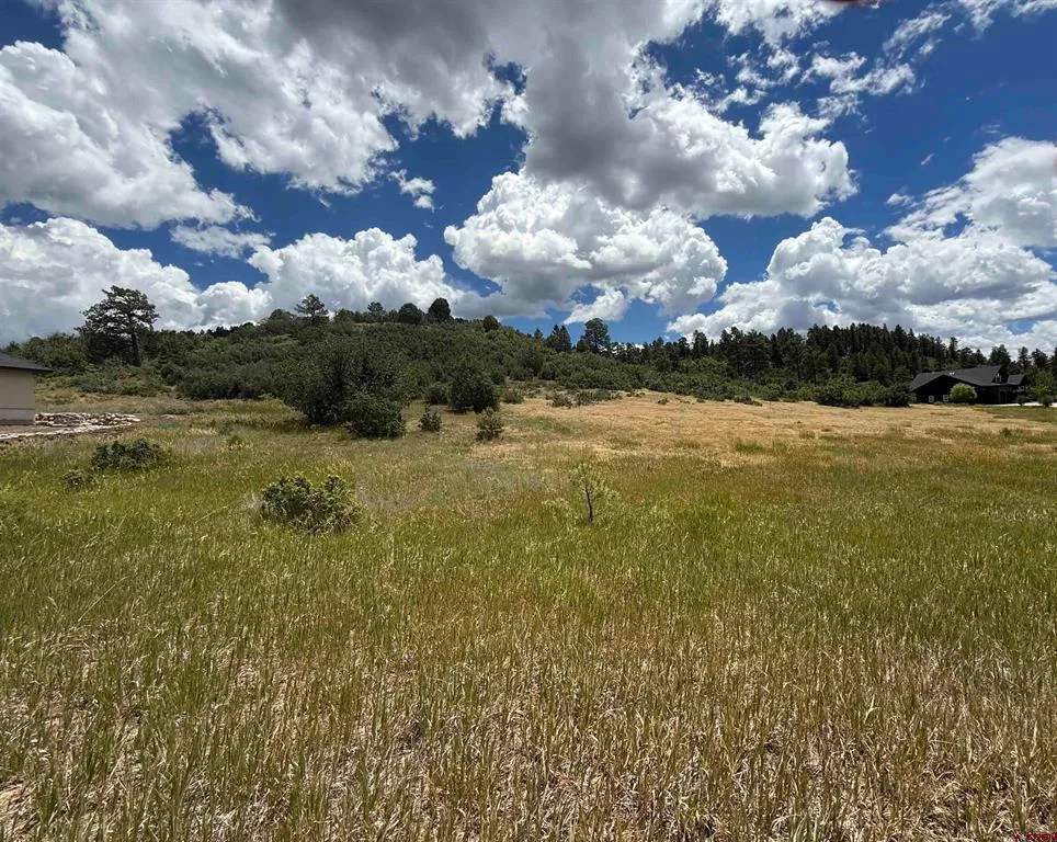 213 Dylan Drive Pagosa Springs, CO 81147
