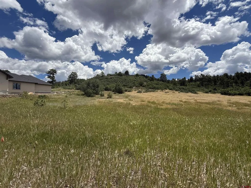213 Dylan Drive Pagosa Springs, CO 81147