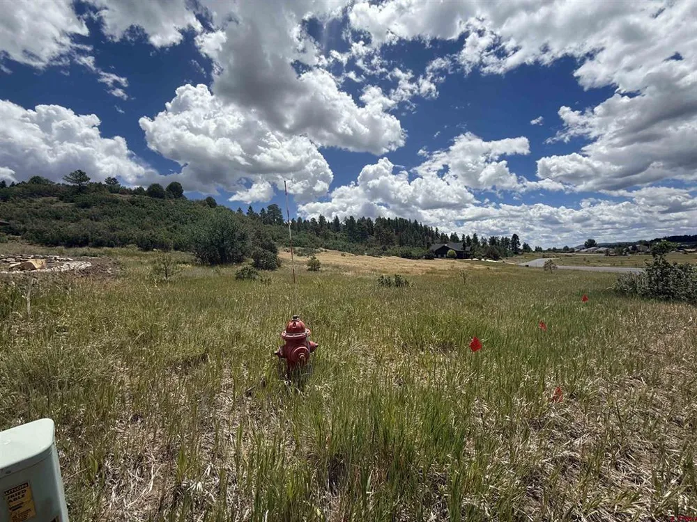 213 Dylan Drive Pagosa Springs, CO 81147