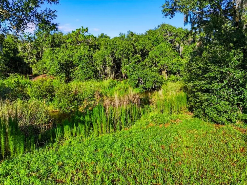DEER ROAD Frostproof, FL 33843