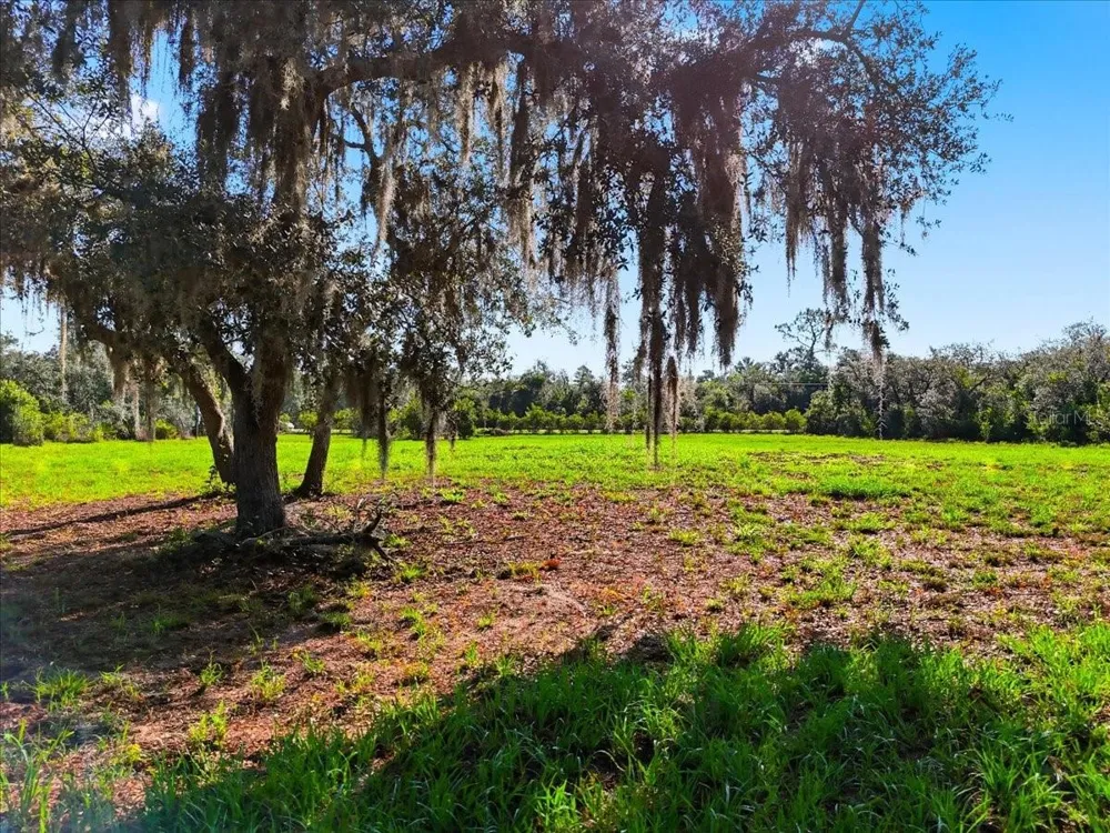 DEER ROAD Frostproof, FL 33843
