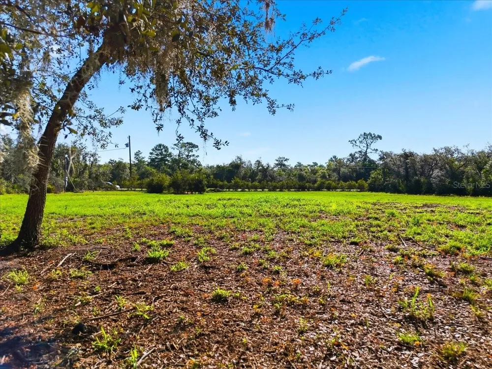DEER ROAD Frostproof, FL 33843