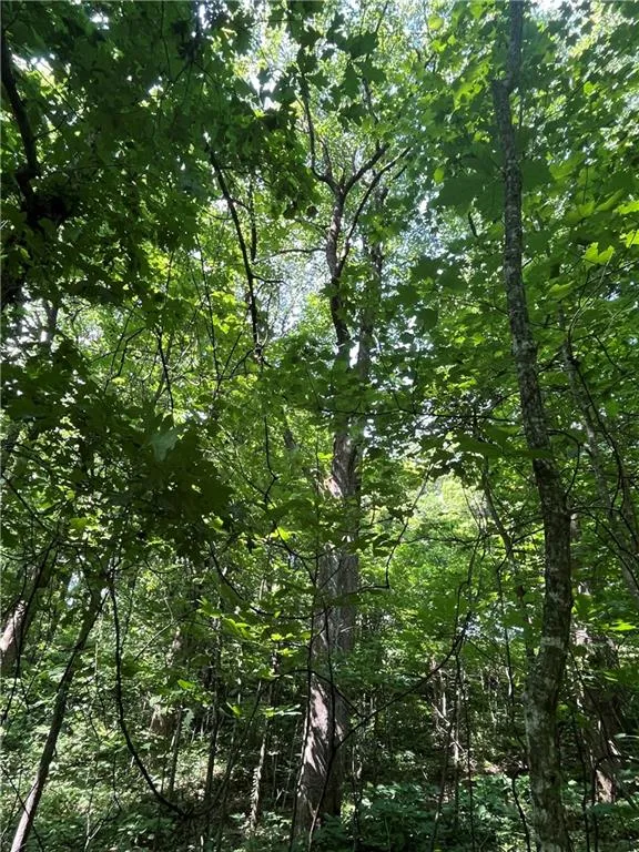 0 Monument Road Jasper, GA 30143