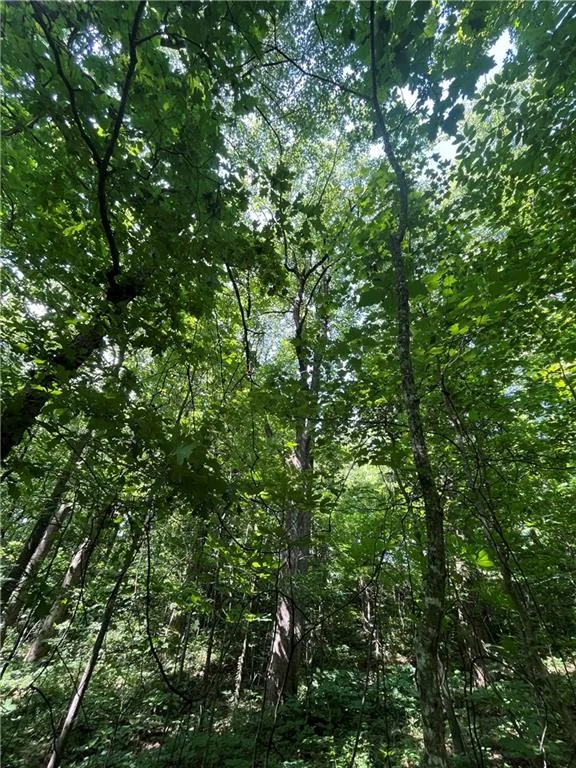 0 Monument Road Jasper, GA 30143