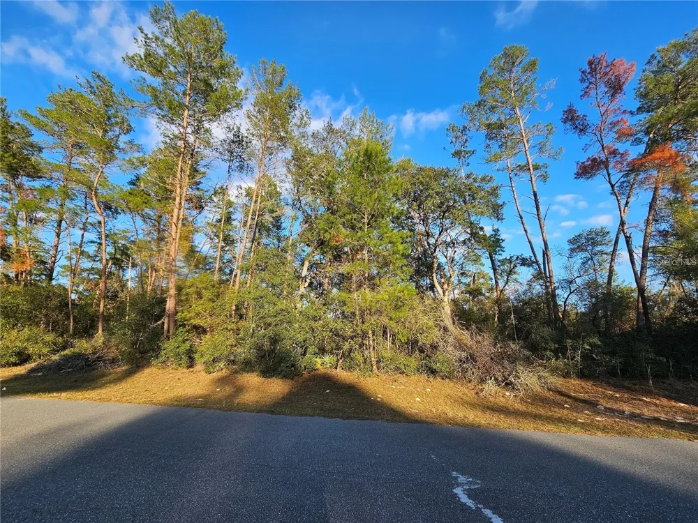 0 SW 33RD TERRACE ocala, FL 34473