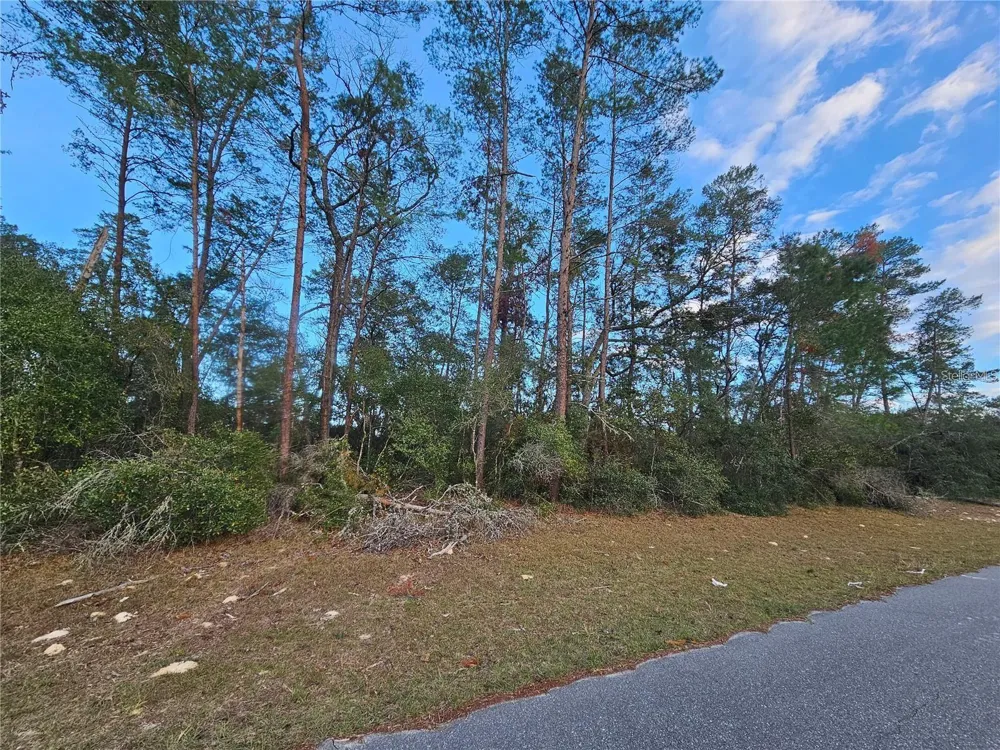 0 SW 33RD TERRACE ocala, FL 34473
