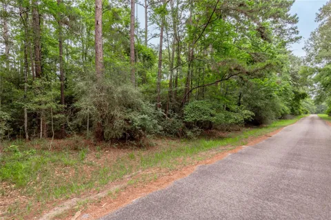 389 Live Oak Drive