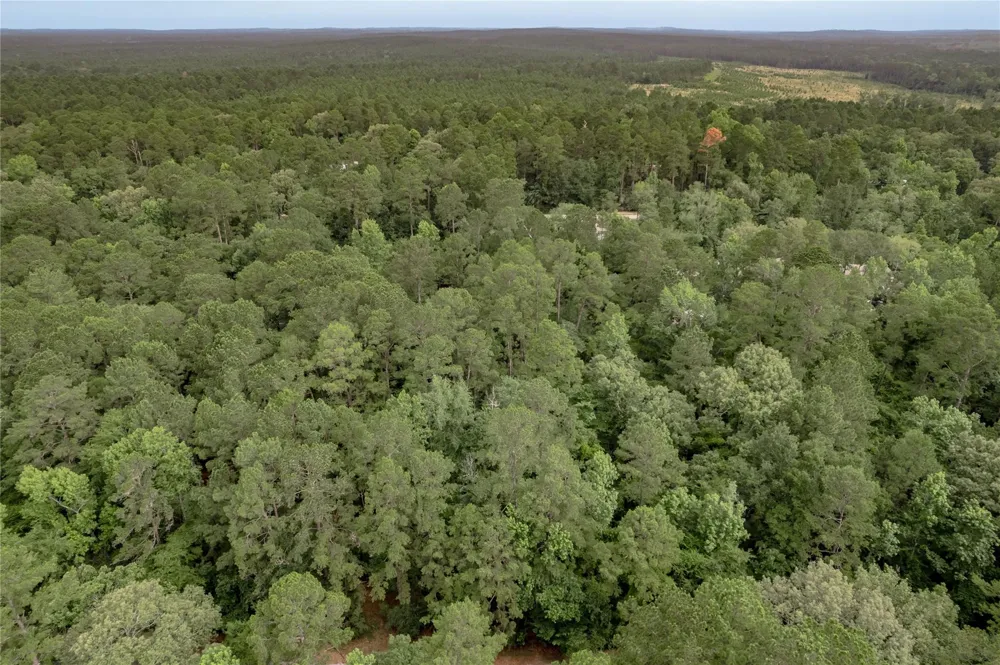 389 Live Oak Drive Trinity, TX 75862