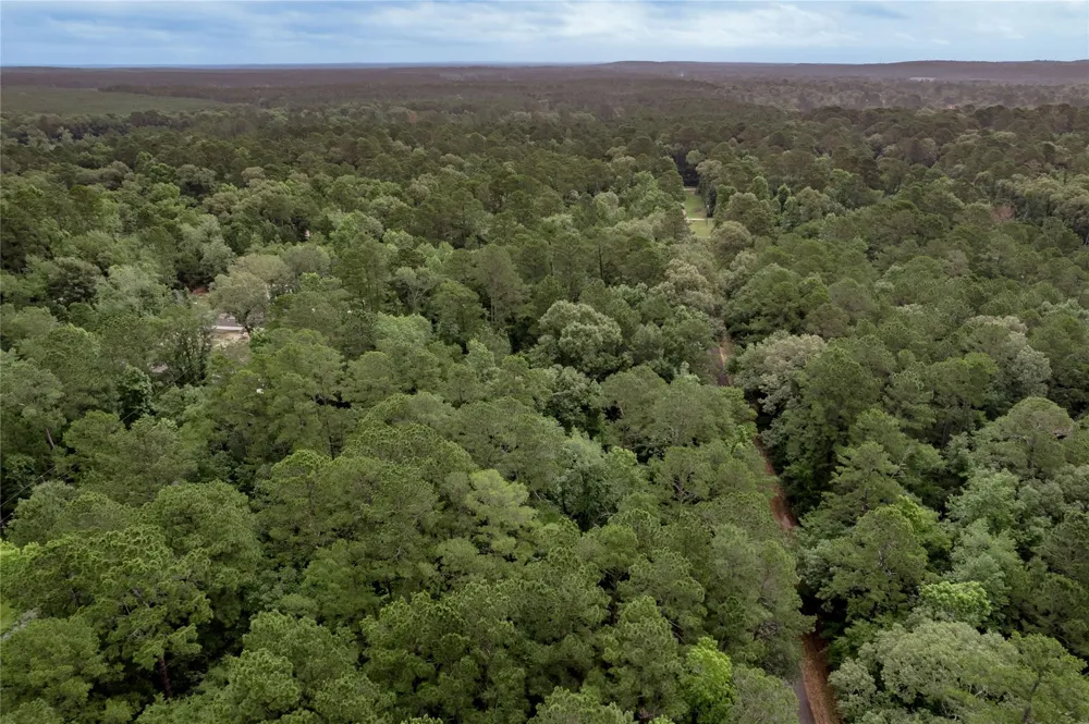 389 Live Oak Drive Trinity, TX 75862