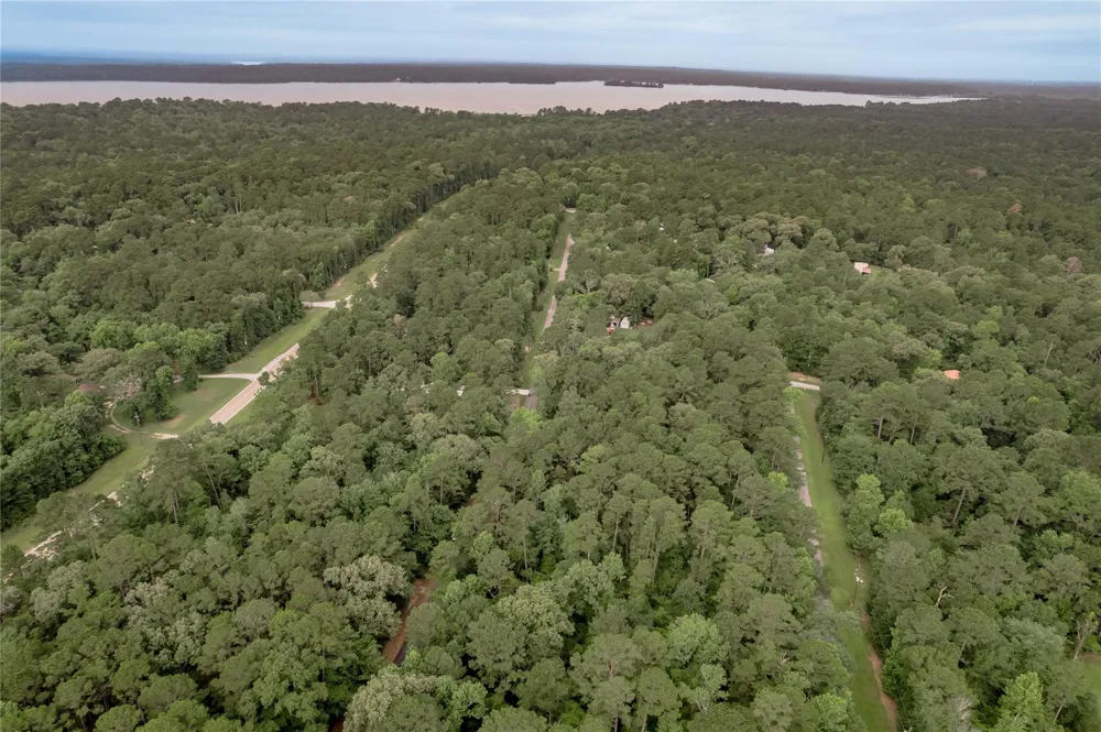 389 Live Oak Drive Trinity, TX 75862