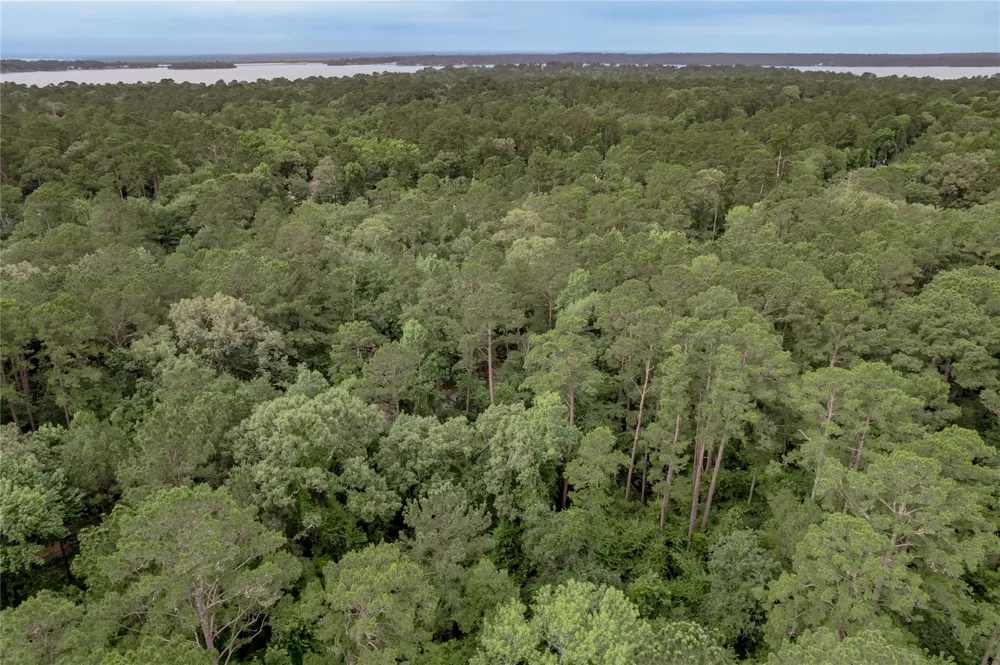 389 Live Oak Drive Trinity, TX 75862
