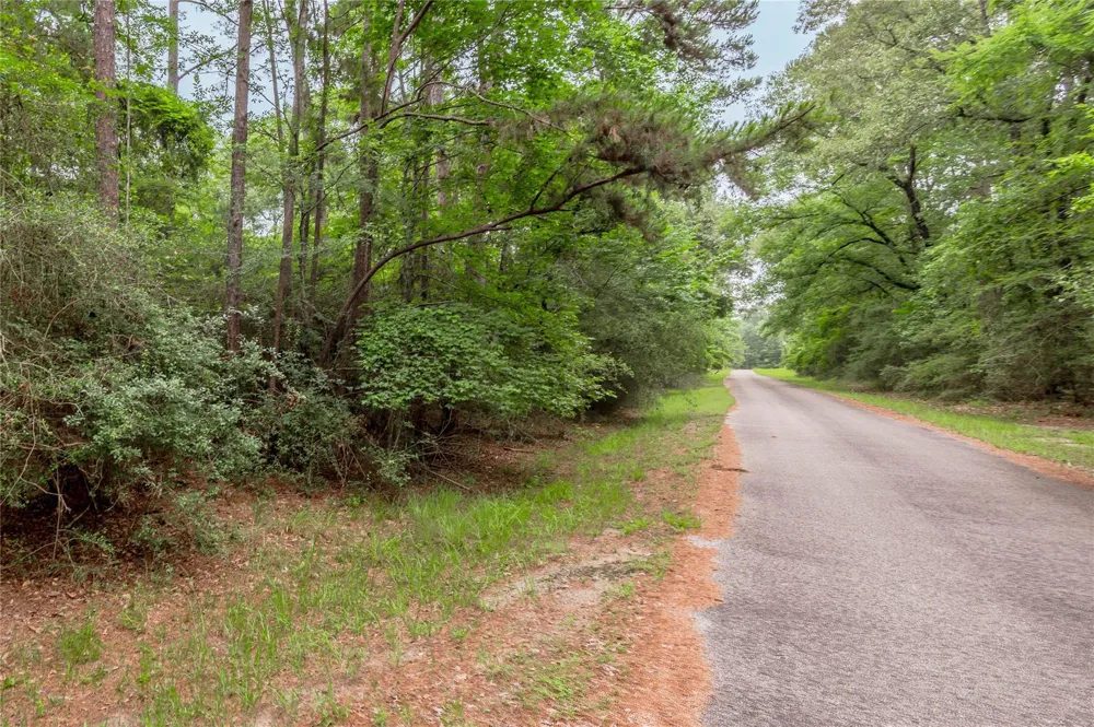 389 Live Oak Drive Trinity, TX 75862