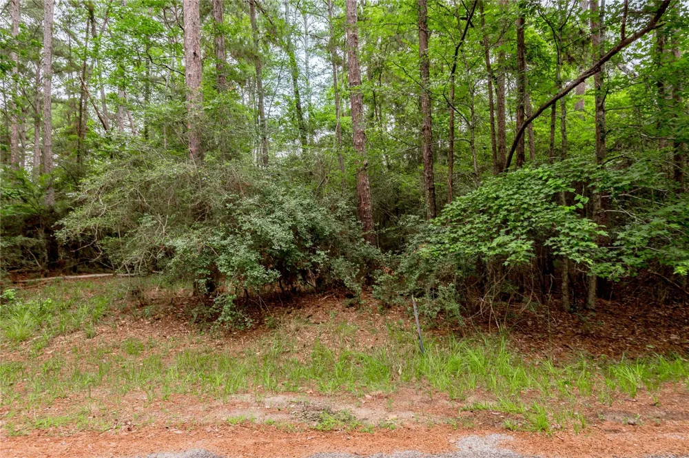 389 Live Oak Drive Trinity, TX 75862
