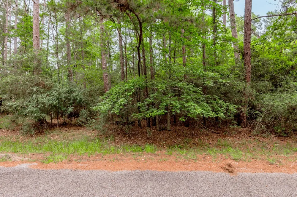 389 Live Oak Drive Trinity, TX 75862