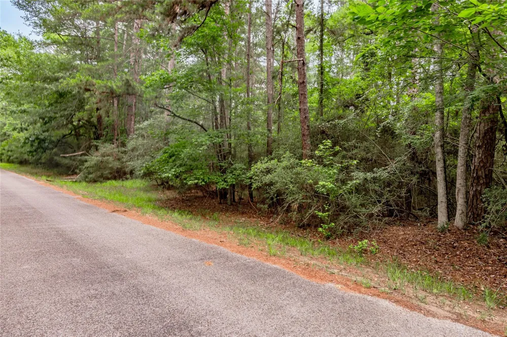 389 Live Oak Drive Trinity, TX 75862