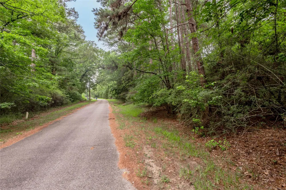 389 Live Oak Drive Trinity, TX 75862