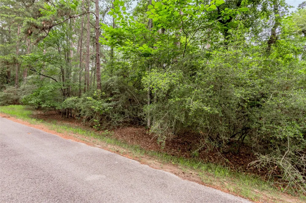 389 Live Oak Drive Trinity, TX 75862