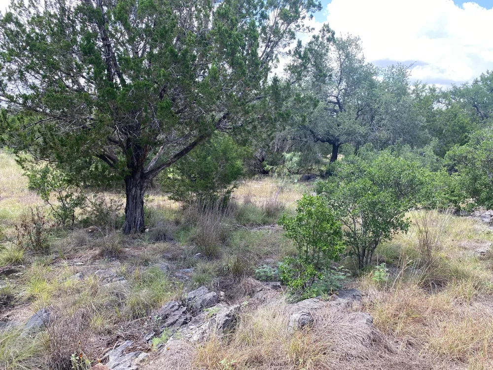 31 Pedernales Oaks Drive Johnson City, TX 78636