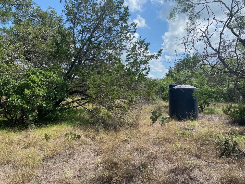 31 Pedernales Oaks Drive Johnson City, TX 78636