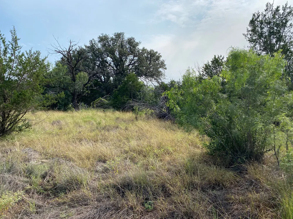 31 Pedernales Oaks Drive Johnson City, TX 78636