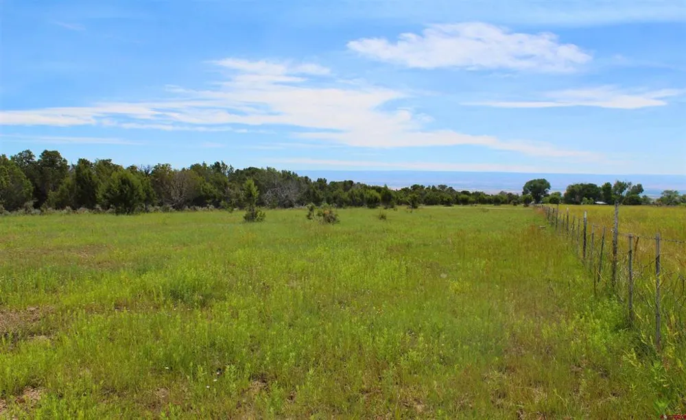 15574 2900 ROAD Hotchkiss, CO 81419