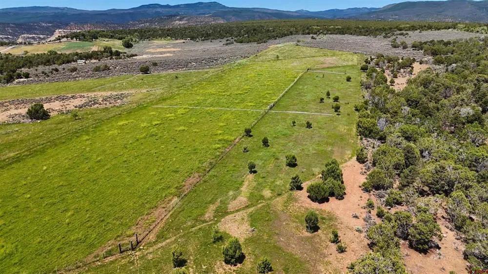 15574 2900 ROAD Hotchkiss, CO 81419