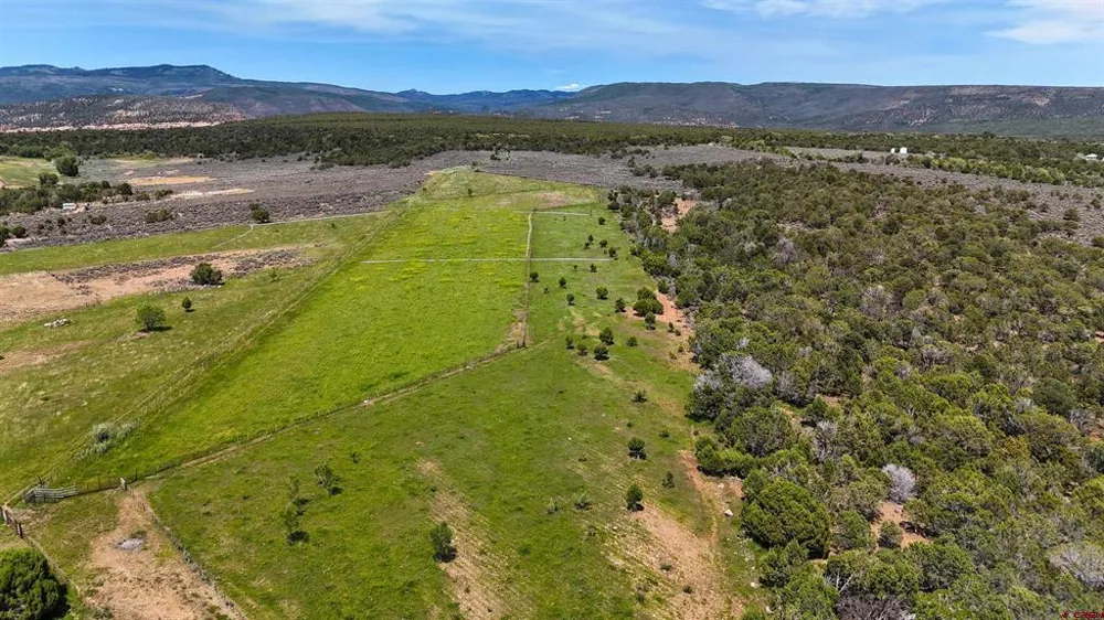 15574 2900 ROAD Hotchkiss, CO 81419