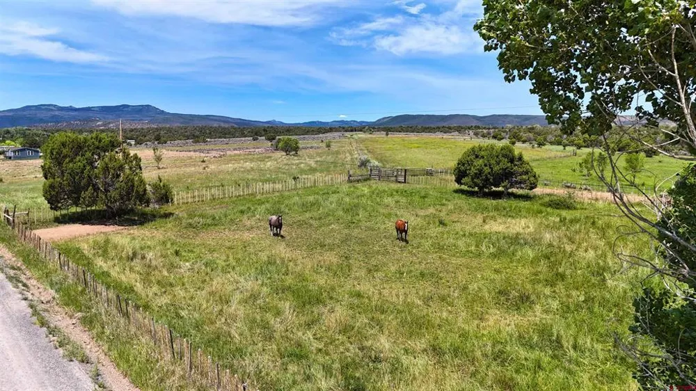 15574 2900 ROAD Hotchkiss, CO 81419