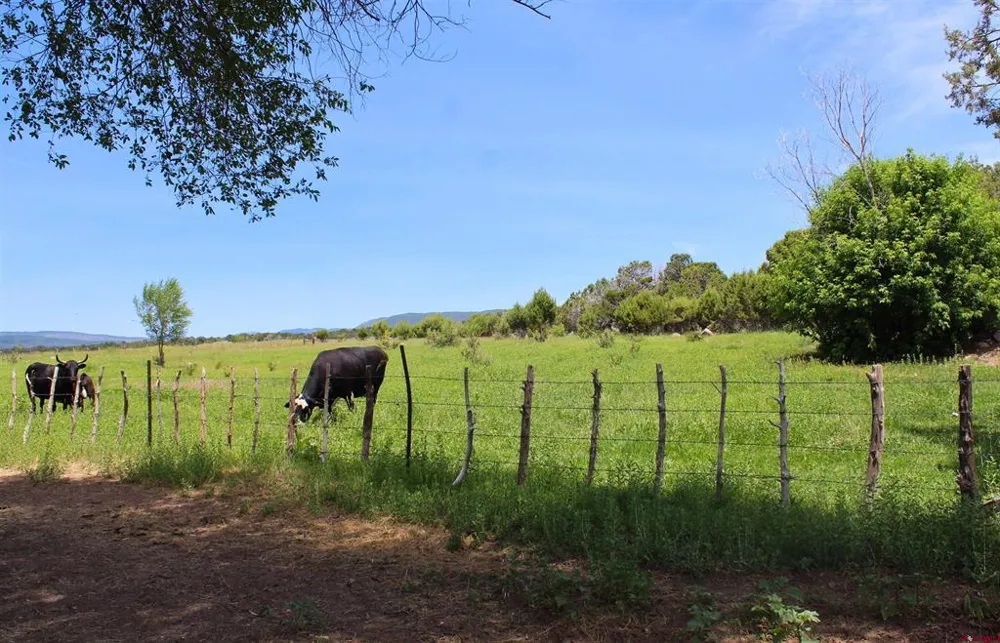 15574 2900 ROAD Hotchkiss, CO 81419