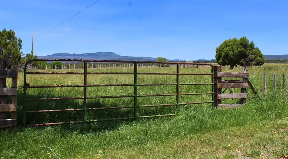 15574 2900 ROAD Hotchkiss, CO 81419