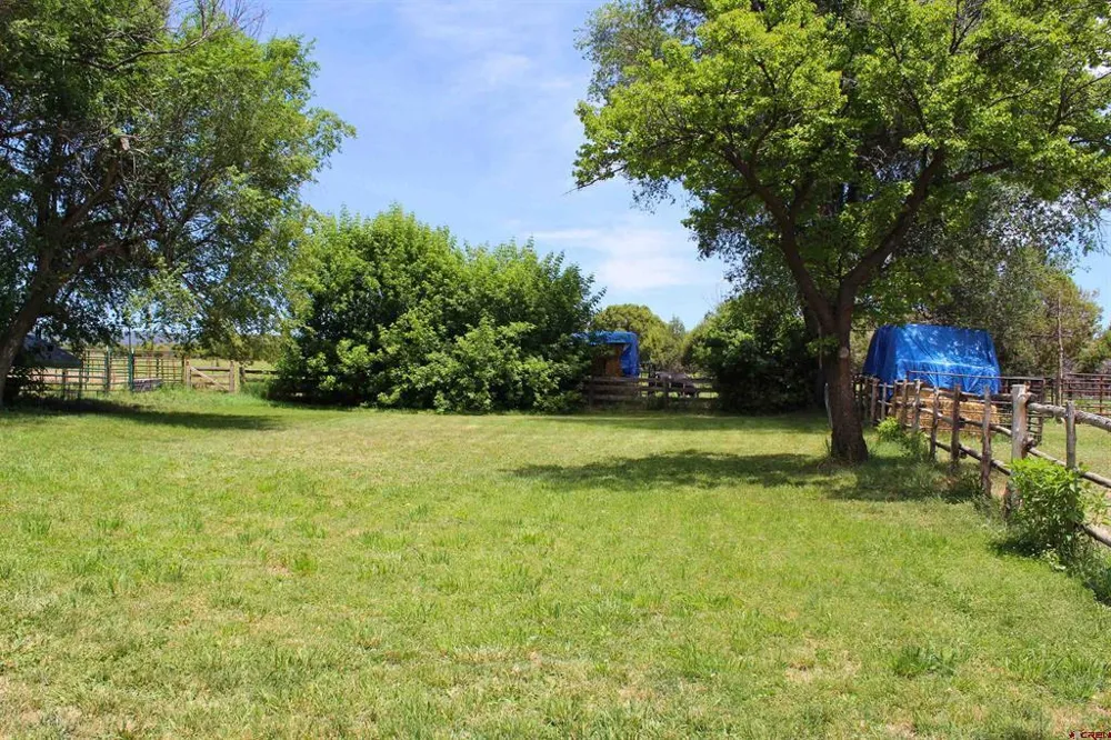 15574 2900 ROAD Hotchkiss, CO 81419