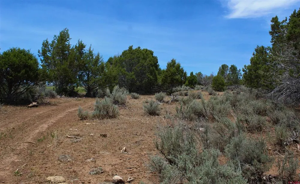 15574 2900 ROAD Hotchkiss, CO 81419