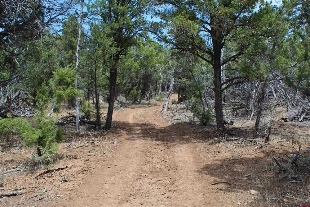 15574 2900 ROAD Hotchkiss, CO 81419