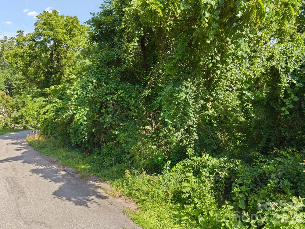 75 Green Oak Road Asheville, NC 28804