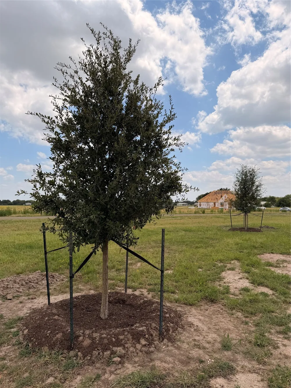495 High Meadow Elm Mott, TX 76640