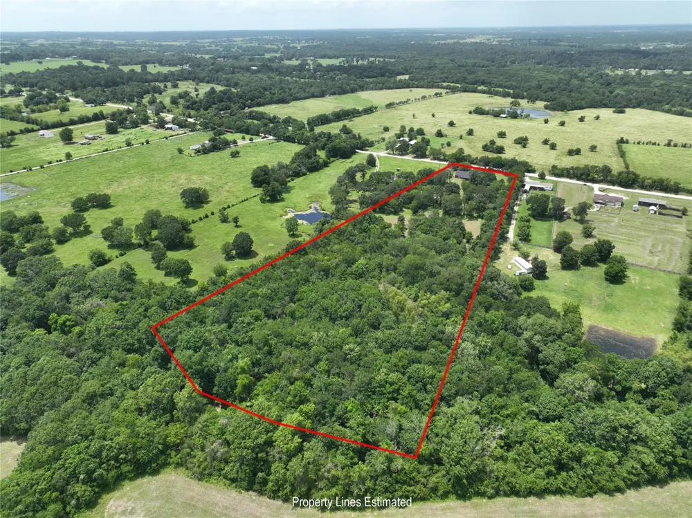 8514 County Road 313 Plantersville, TX 77363
