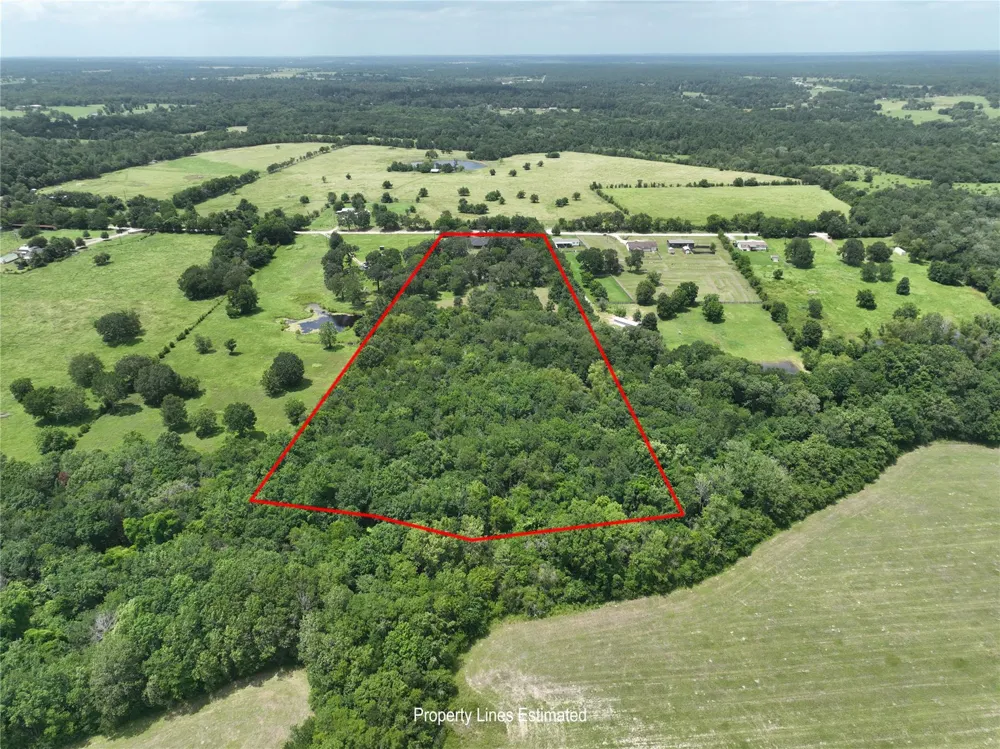 8514 County Road 313 Plantersville, TX 77363