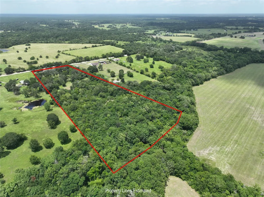 8514 County Road 313 Plantersville, TX 77363