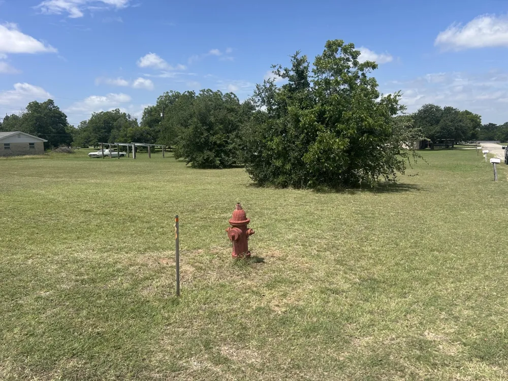 Tom Bryant Cross Plains, TX 76443