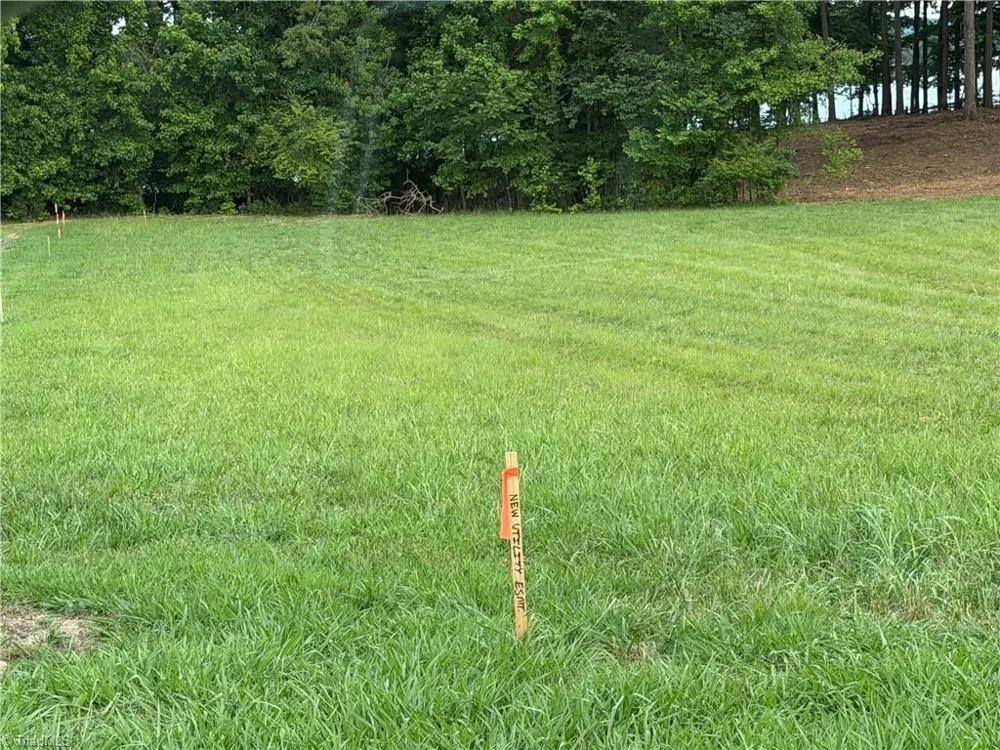 268 Kendricks Cove Lexington, NC 27292