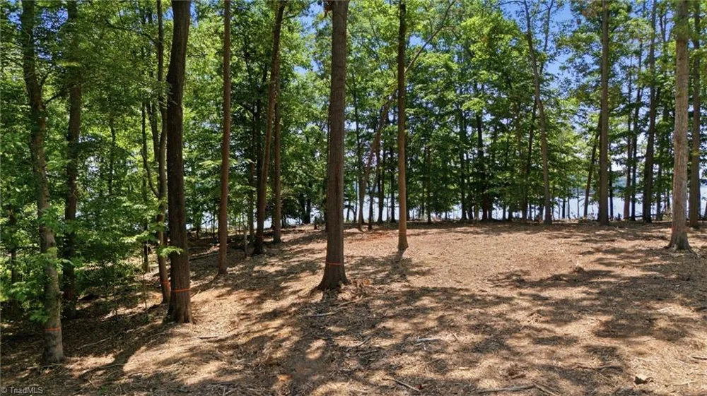 268 Kendricks Cove Lexington, NC 27292