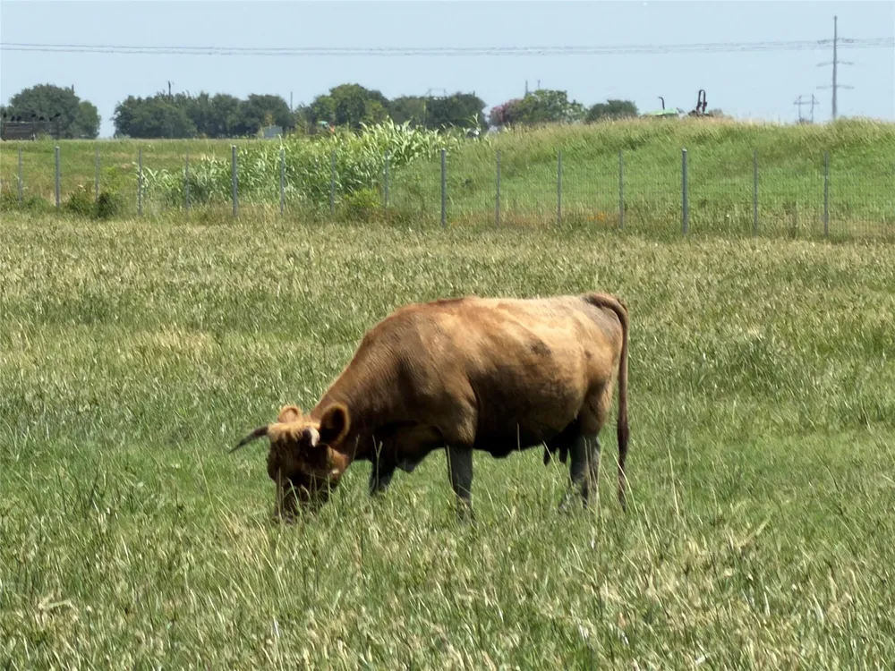 11301 S Fm 441 Road Louise, TX 77455