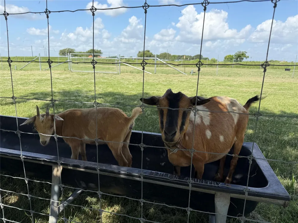 11301 S Fm 441 Road Louise, TX 77455