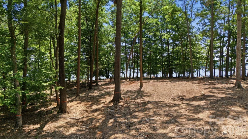 268 Kendricks Cove Lexington, NC 27292
