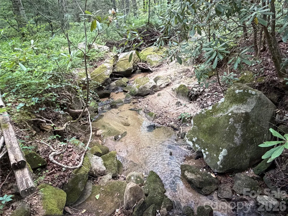 141 Hemlock Lane #3 Lake Lure, NC 28746