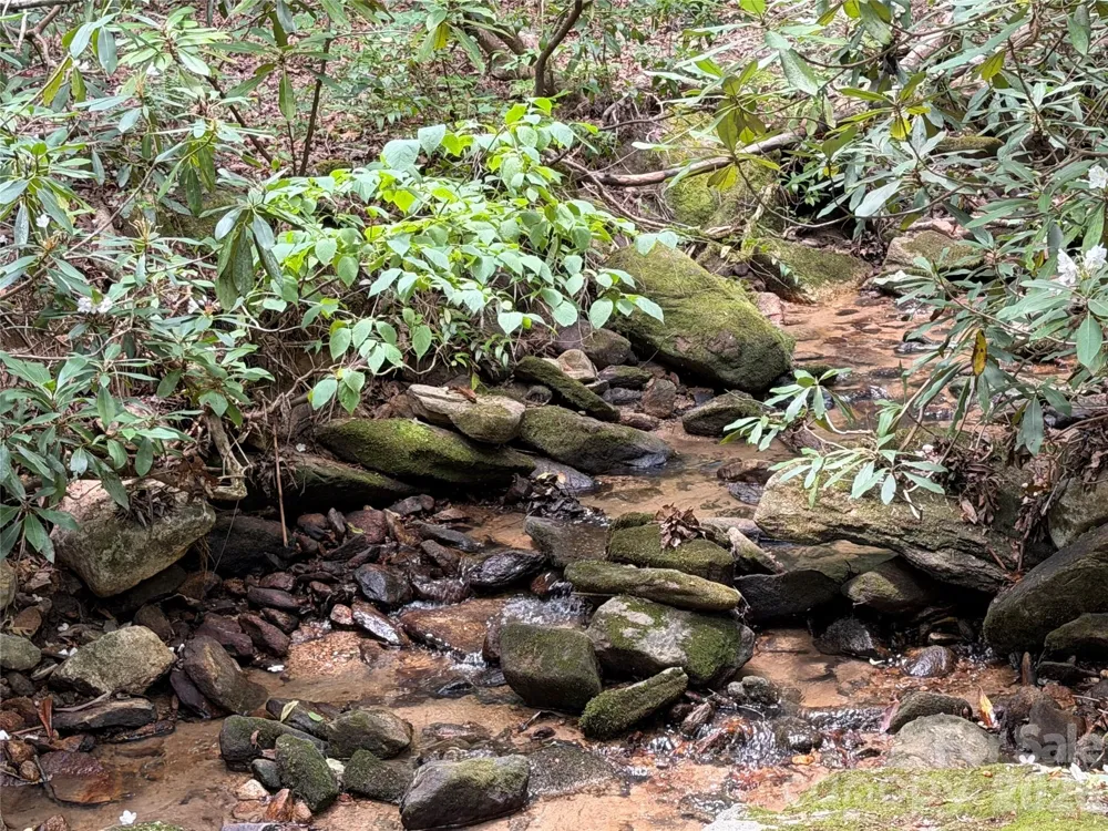 141 Hemlock Lane #3 Lake Lure, NC 28746